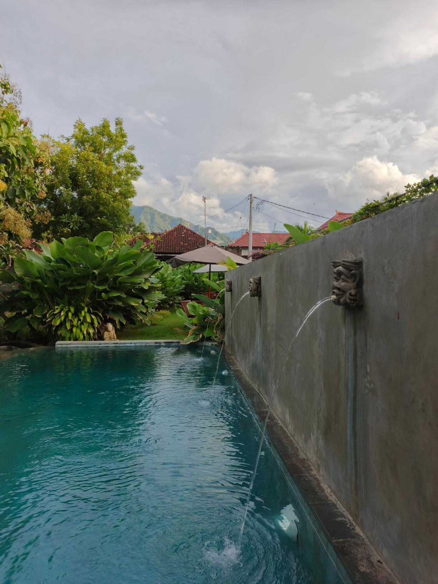 Bali Gecko *